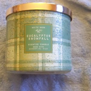 Eucalyptus Snowfall 3 Wick Candle